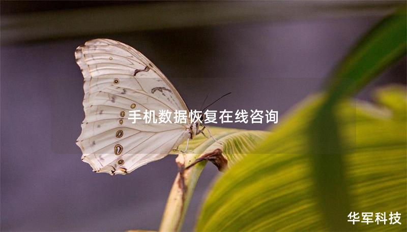 手机数据恢复在线咨询 手机数据恢复在线咨询