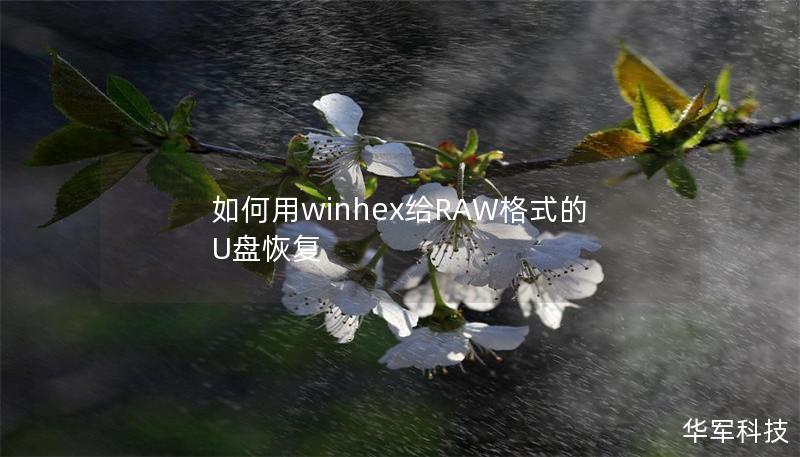 如何用winhex给RAW格式的U盘恢复 如何用winhex给RAW格式的U盘恢复