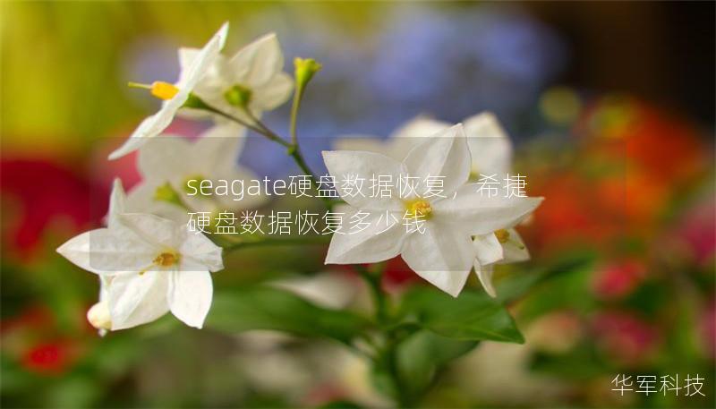 seagate硬盘数据恢复，希捷硬盘数据恢复多少钱