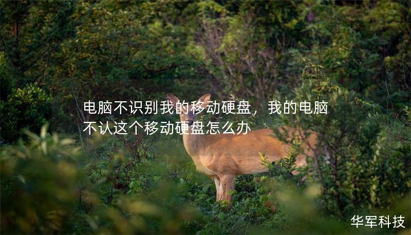 电脑不识别我的移动硬盘,我的电脑不认这个移动硬盘怎么办 电脑不识别我的移动硬盘,我的电脑不认这个移动硬盘怎么办