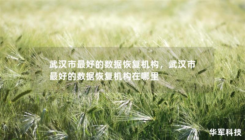 武汉市最好的数据恢复机构,武汉市最好的数据恢复机构在哪里 武汉市最好的数据恢复机构,武汉市最好的数据恢复机构在哪里