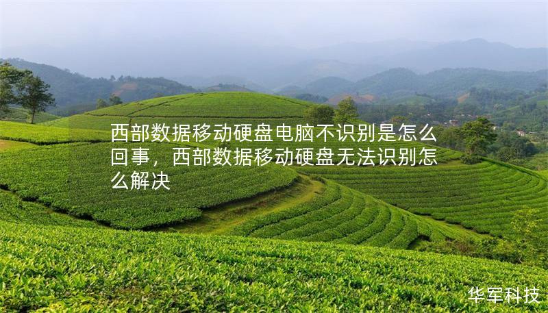 西部数据移动硬盘电脑不识别是怎么回事,西部数据移动硬盘无法识别怎么解决 西部数据移动硬盘电脑不识别是怎么回事,西部数据移动硬盘无法识别怎么解决