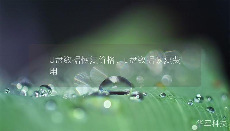 U盘数据恢复价格,u盘数据恢复费用 U盘数据恢复价格,u盘数据恢复费用