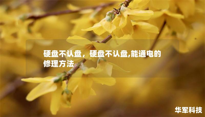 硬盘不认盘,硬盘不认盘,能通电的修理方法 硬盘不认盘,硬盘不认盘,能通电的修理方法