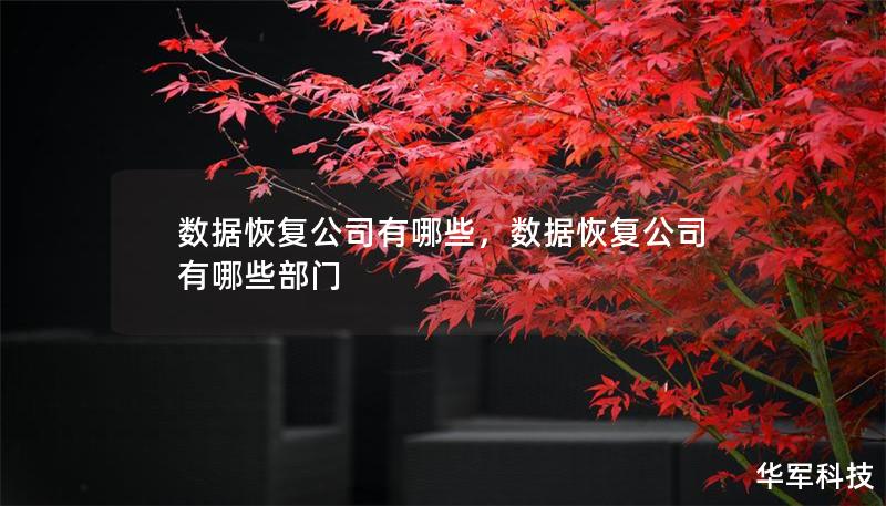 数据恢复公司有哪些,数据恢复公司有哪些部门 数据恢复公司有哪些,数据恢复公司有哪些部门