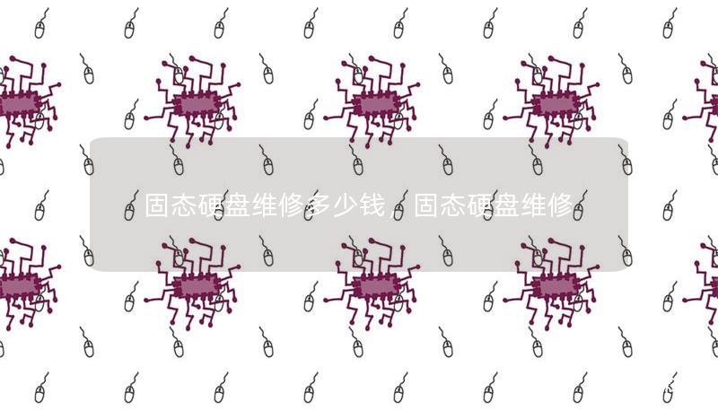 固态硬盘维修多少钱,固态硬盘维修 固态硬盘维修多少钱,固态硬盘维修