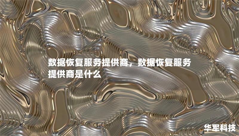 数据恢复服务提供商,数据恢复服务提供商是什么 数据恢复服务提供商,数据恢复服务提供商是什么