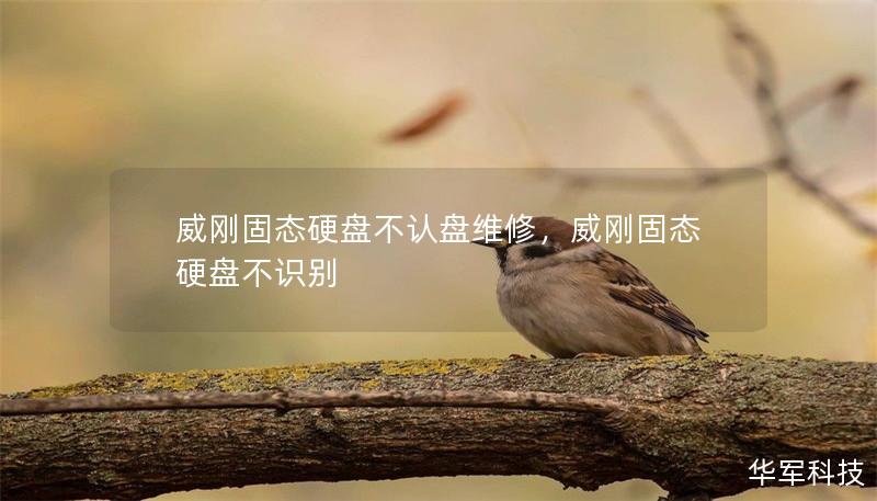 威刚固态硬盘不认盘维修,威刚固态硬盘不识别 威刚固态硬盘不认盘维修,威刚固态硬盘不识别