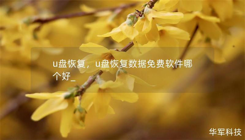 u盘恢复,u盘恢复数据免费软件哪个好_ u盘恢复,u盘恢复数据免费软件哪个好_
