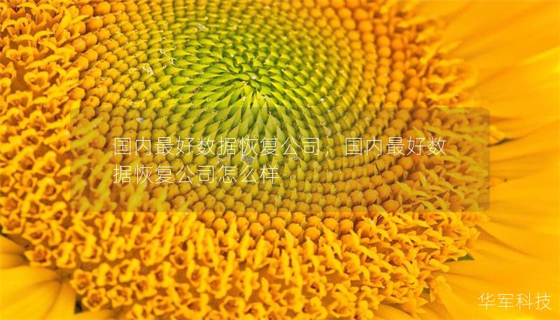 国内最好数据恢复公司,国内最好数据恢复公司怎么样 国内最好数据恢复公司,国内最好数据恢复公司怎么样