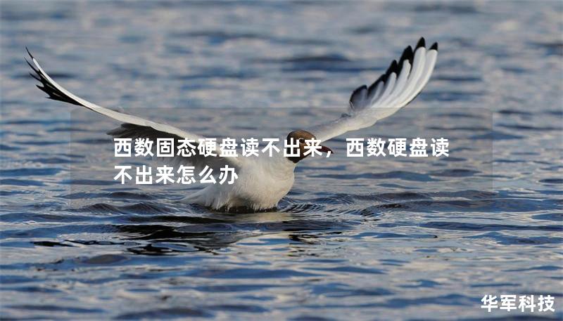 西数固态硬盘读不出来,西数硬盘读不出来怎么办 西数固态硬盘读不出来,西数硬盘读不出来怎么办