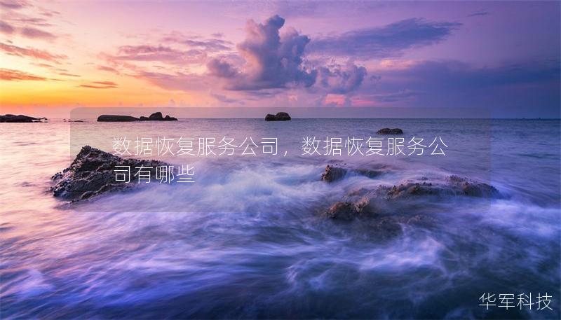 数据恢复服务公司,数据恢复服务公司有哪些 数据恢复服务公司,数据恢复服务公司有哪些
