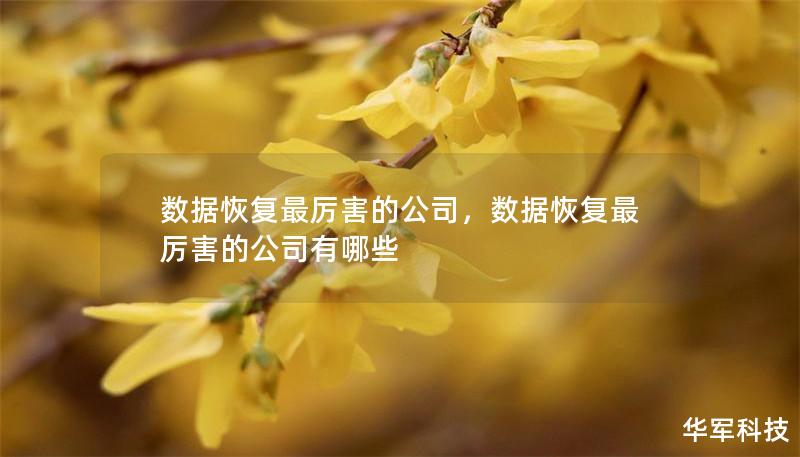 数据恢复最厉害的公司,数据恢复最厉害的公司有哪些 数据恢复最厉害的公司,数据恢复最厉害的公司有哪些
