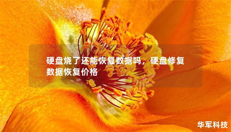 硬盘烧了还能恢复数据吗,硬盘修复数据恢复价格 硬盘烧了还能恢复数据吗,硬盘修复数据恢复价格