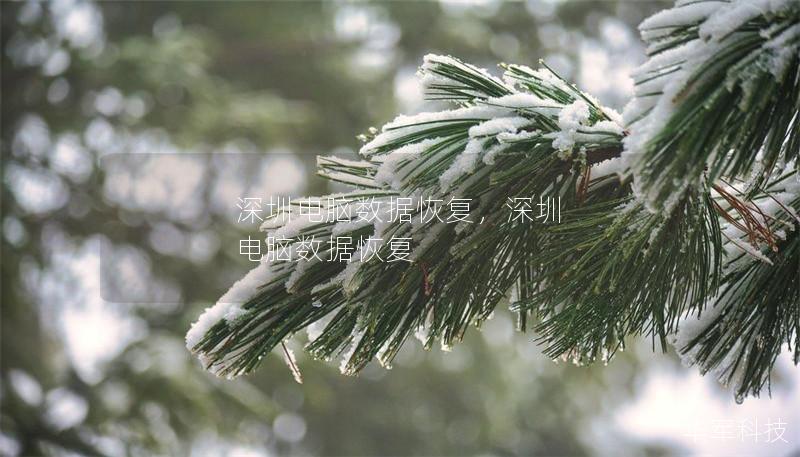 深圳电脑数据恢复，深圳 电脑数据恢复