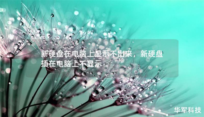 新硬盘在电脑上显示不出来,新硬盘插在电脑上不显示 新硬盘在电脑上显示不出来,新硬盘插在电脑上不显示