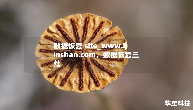 数据恢复 site_www.ijinshan.com,数据恢复三灶 数据恢复 site_www.ijinshan.com,数据恢复三灶