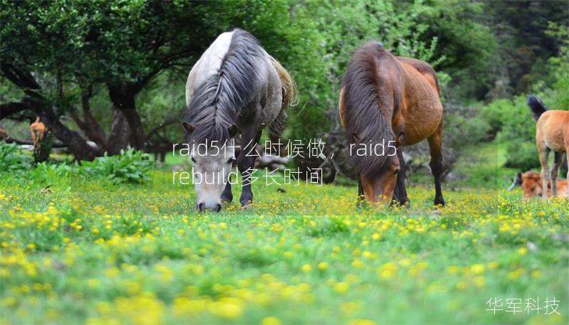 raid5什么时候做,raid5rebuild多长时间 raid5什么时候做,raid5rebuild多长时间