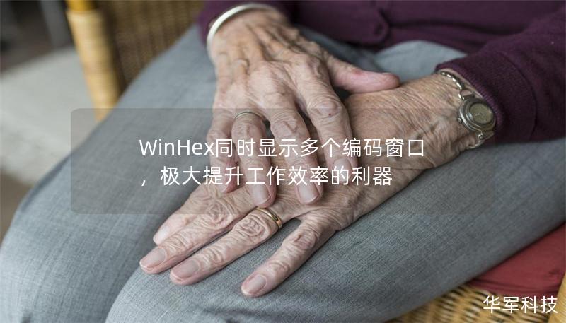 WinHex同时显示多个编码窗口，极大提升工作效率的利器