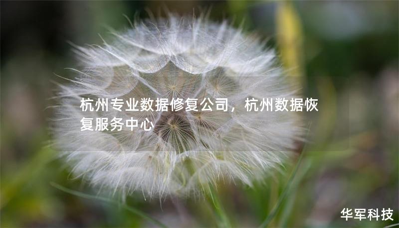 杭州专业数据修复公司，杭州数据恢复服务中心