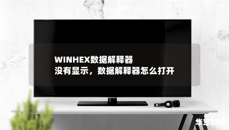 WINHEX数据解释器 没有显示，数据解释器怎么打开