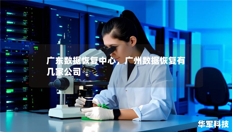 广东数据恢复中心,广州数据恢复有几家公司 广东数据恢复中心,广州数据恢复有几家公司