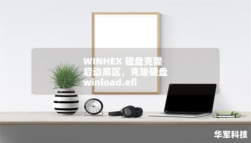 WINHEX 磁盘克隆 启动扇区，克隆硬盘 winload.efi