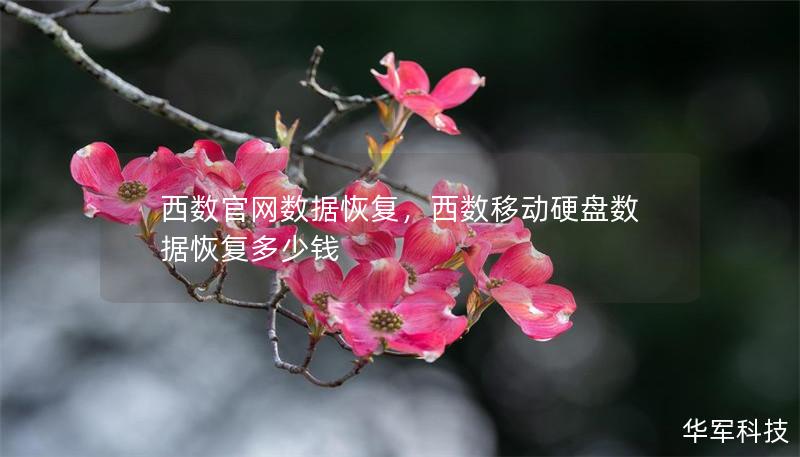 西数官网数据恢复，西数移动硬盘数据恢复多少钱