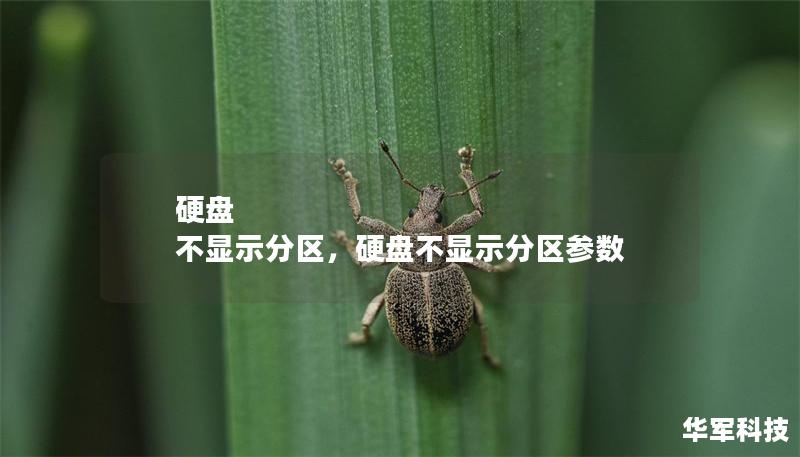 硬盘 不显示分区，硬盘不显示分区参数