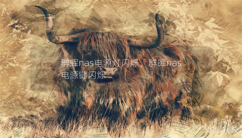 群晖nas电源灯闪烁，群晖nas 电源键闪烁