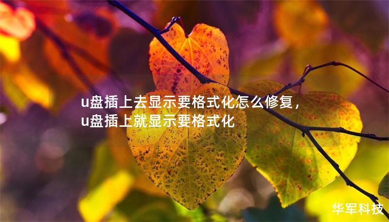 u盘插上去显示要格式化怎么修复,u盘插上就显示要格式化 u盘插上去显示要格式化怎么修复,u盘插上就显示要格式化