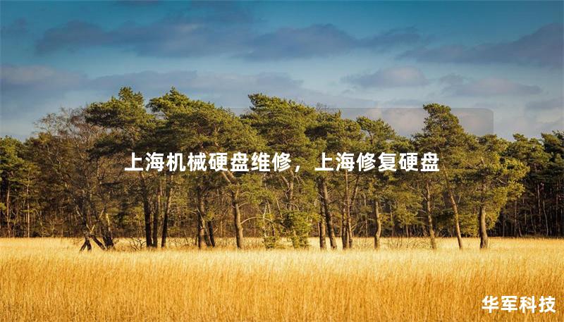 上海机械硬盘维修，上海修复硬盘