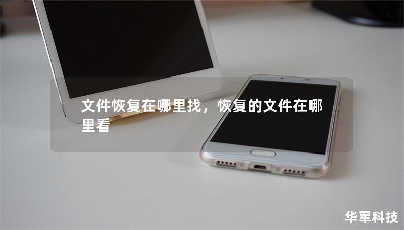 文件恢复在哪里找,恢复的文件在哪里看 文件恢复在哪里找,恢复的文件在哪里看