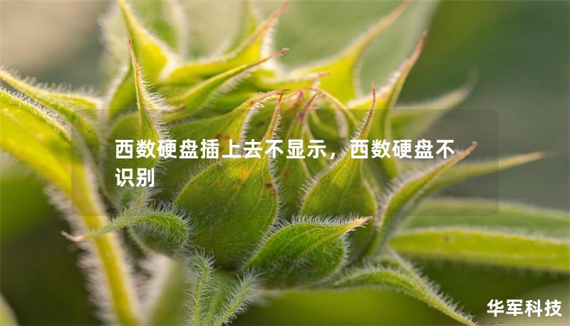 西数硬盘插上去不显示，西数硬盘不识别