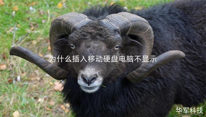 为什么插入移动硬盘电脑不显示