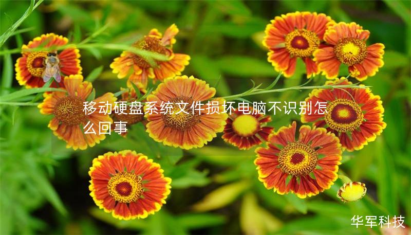 移动硬盘系统文件损坏电脑不识别怎么回事