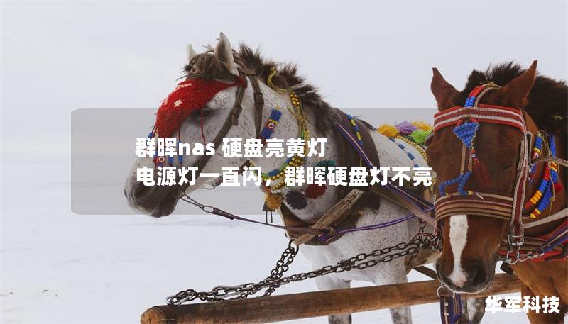 群晖nas 硬盘亮黄灯 电源灯一直闪，群晖硬盘灯不亮