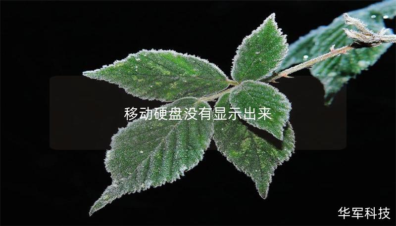 移动硬盘没有显示出来 移动硬盘没有显示出来
