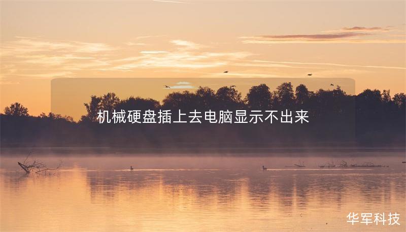 机械硬盘插上去电脑显示不出来