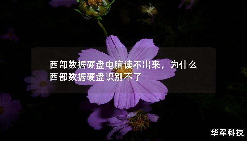 西部数据硬盘电脑读不出来，为什么西部数据硬盘识别不了