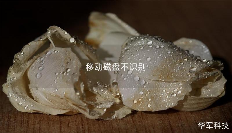 移动磁盘不识别