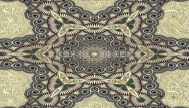 优盘损坏怎么恢复里面的数据