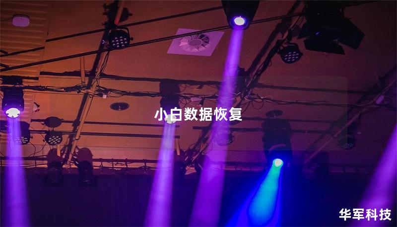 小白数据恢复 小白数据恢复