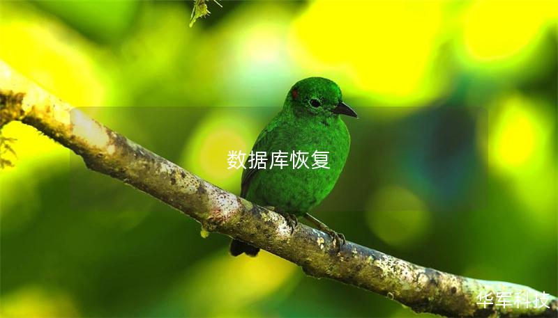 数据库恢复 数据库恢复