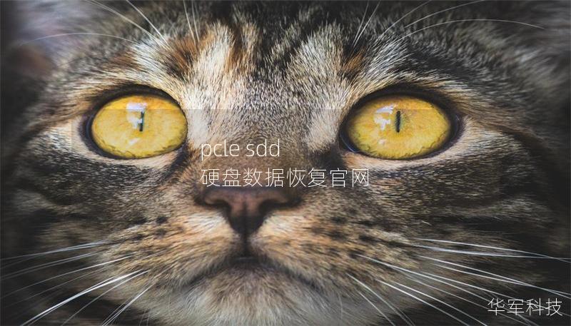 pcle sdd 硬盘数据恢复官网