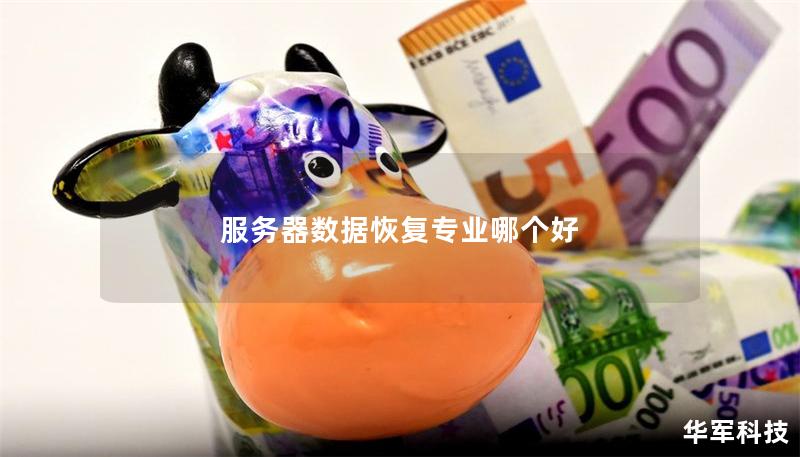 服务器数据恢复专业哪个好 服务器数据恢复专业哪个好