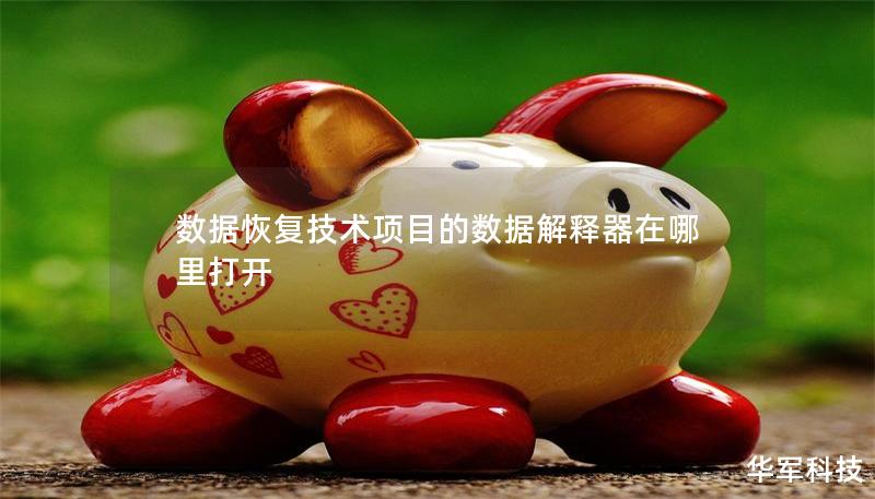 数据恢复技术项目的数据解释器在哪里打开