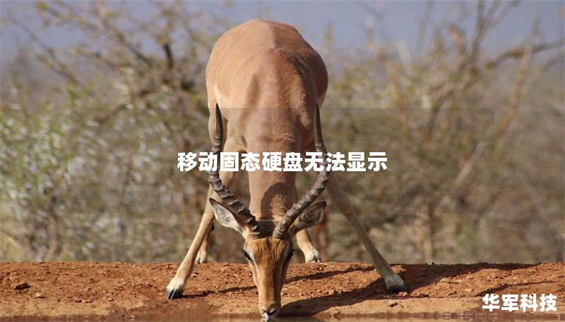 移动固态硬盘无法显示