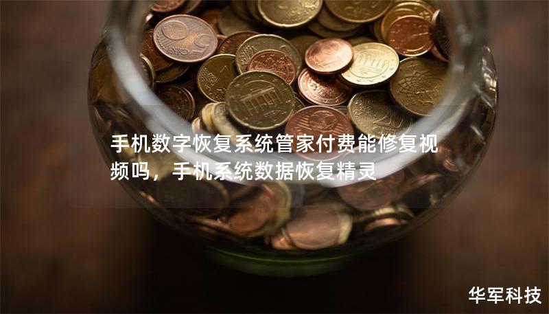 手机数字恢复系统管家付费能修复视频吗，手机系统数据恢复精灵