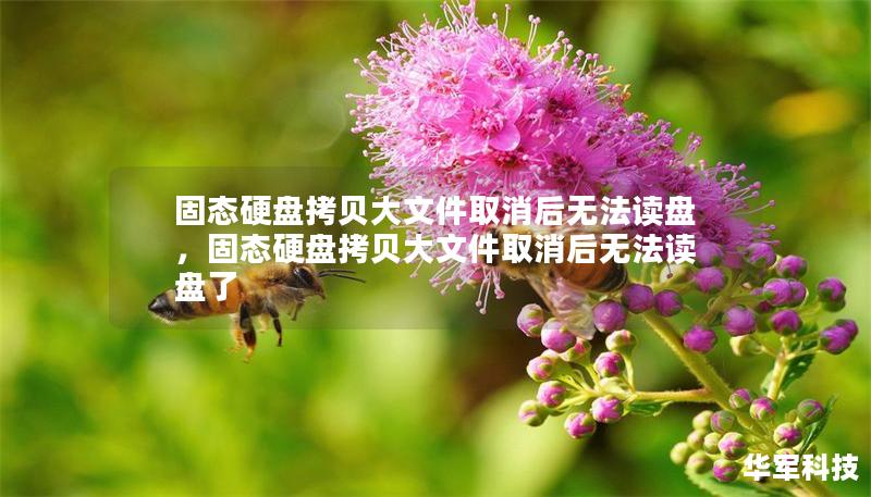 固态硬盘拷贝大文件取消后无法读盘，固态硬盘拷贝大文件取消后无法读盘了